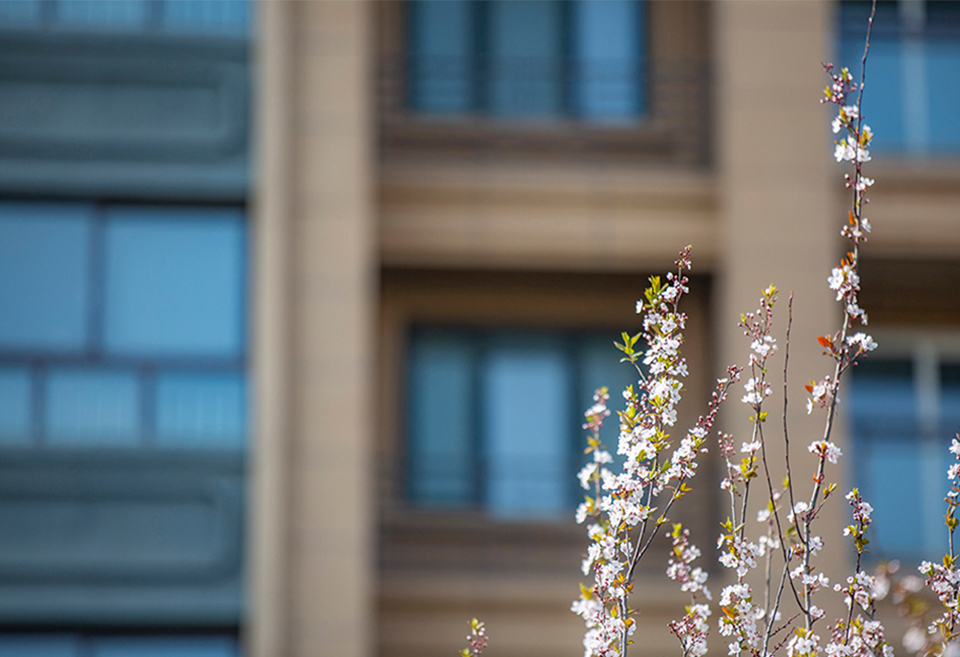 公祺社區(qū)鶴鳴軒
